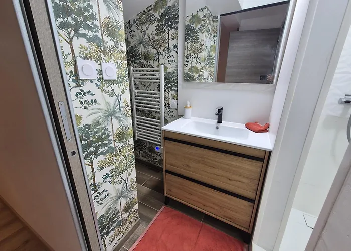Studio2 Cosy Independant Calme Proche Lyon Apartment