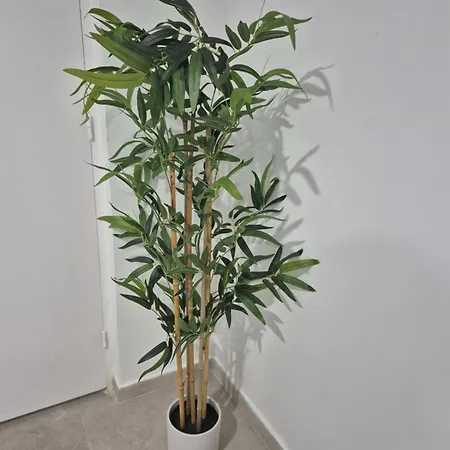 Studio2 Cosy Independant Calme Proche Lyon アパート リシュー